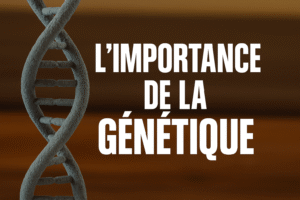 L'important de la génétique