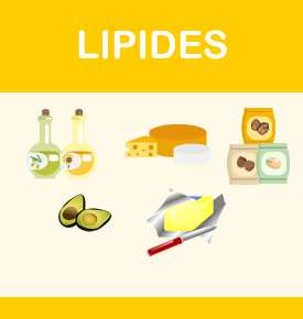 Meilleures sources de lipides - 1