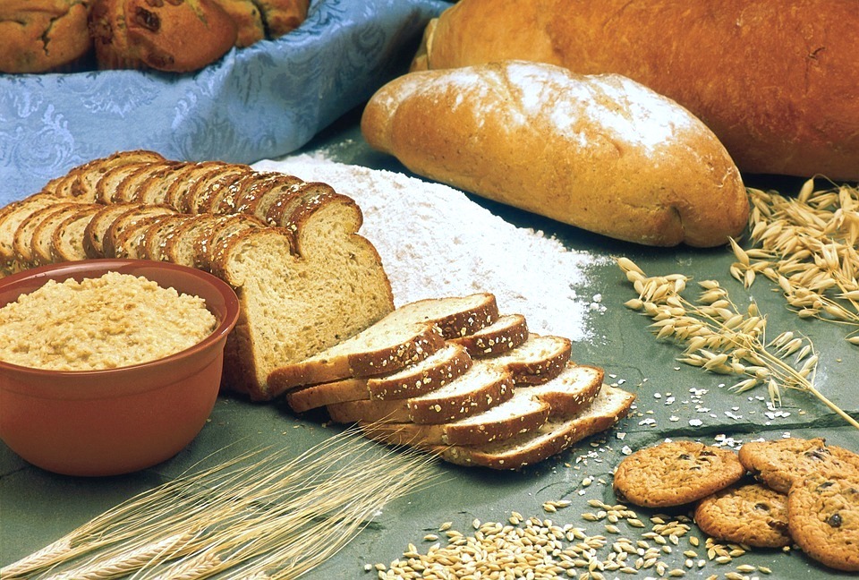 Gluten : faut-il vraiment l’éviter ? 🌾 2 Gluten et musculation - 1